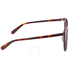 Ferragamo Tortoise Sunglasses SF883SA 238 53 SF883SA 238 53