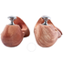 A. Mulard A. Mulard Men's Shoe Trees- Size 43 EMBAUMUL8314
