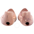A. Mulard A. Mulard Womens Shoe Trees- Size 37 EMBAUCHOIRF
