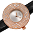 Burgi Quartz Silver Dial Ladies Watch BUR272RGB