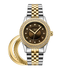 JBW Carina Quartz Diamond Crystal Brown Dial Ladies Watch J6368E