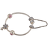 Pandora Ladies Floral Bracelet Gift Set B801116-17