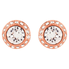 Swarovski Ladies Stud Earrings 5259633
