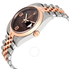 Rolex Datejust 36 Brown Floral Dial Steel and 18K Everose Gold Ladies Watch 116201BRFDAJ