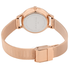 Skagen Anita Silver Dial Rose Gold-tone Ladies Watch SKW2151