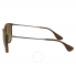 Ray Ban Ray-Ban Erika Brown Gradient Sunglasses RB4171 865/13 54 RB4171 865/13 54