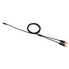 AmazonBasics 3.5mm to 2-Male RCA Adapter Cable - 4 Feet