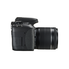 Canon EOS Rebel T6i Digital SLR with EF-S 18-55mm IS STM Lens - Wi-Fi Enabled