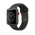 Apple Watch Edition Series 3 38mm Smartwatch - Gray