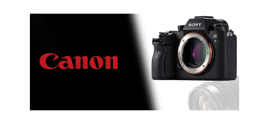 SAU 40 NĂM SỬ DỤNG CANON, PHÓNG VIÊN ẢNH DAVID BURNETT ĐÃ CHUYỂN SANG DÙNG MÁY ẢNH MIRRORLESS SONY